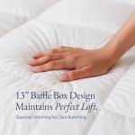 Organic Favorite 100% Organic Cotton Comforter/Duvet Insert, All-Season, Hypoallergenic, Luxurious Down Alternative, 400 Thread Count, Box-Stitch - King Size, White