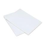 Amazon Basics Down Alternative Bed Pillows and Pillow Protector Case 2-Piece Set, Medium Density, Standard - Pack of 2, White, 26"L x 20"W