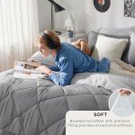 Bedsure Queen Comforter Set - 7 Pieces Reversible Grey Bedding, Queen Size Bed Set for All Seasons, Bed in a Bag with Down Alternative Comforter, Sheets, Pillowcases & Shams