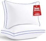 HARNY Pillows Queen Size Set of 2, Plush Soft Supportive Bed Pillows, Down Alternative Queen Pillow for Side and Back Sleeper, Pillow for Sleeping 2 Pack, Machine Washable, 20 x 30 Inches