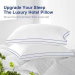 HARNY Pillows Queen Size Set of 2, Plush Soft Supportive Bed Pillows, Down Alternative Queen Pillow for Side and Back Sleeper, Pillow for Sleeping 2 Pack, Machine Washable, 20 x 30 Inches