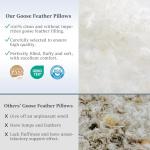 COZSINOOR Goose Feather Pillows Queen Size Set of 2 - Hotel Down Bed Pillow for Sleeping, Soft 600 TC Cotton Cover, Fluffy Support Surround Fill Down Alternative for Back, Stomach, Side Sleepers