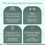 Feather & Stitch Softest 100% Cotton Sheets, 300 Thread Count Percale Weave Bedding, 16" Deep Pocket, Cooling Sheets, Breathable Bed Set, Hotel Premium Quality (King, Blue Stripe)