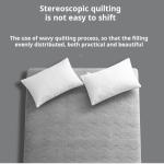 Foldable Mattress Topper Upholstered Lamb Velvet Warm Mattress Futon Blanket Dormitory Single Double Thickened Sleeping Pad Bed