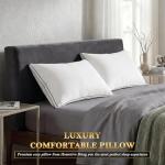 Homotive Feather Pillows Queen Size Set of 2 Goose Down Pillows with 100% Breathable Cotton Cover, Hotel Collection Bed Pillows for Sleeping, Soft Support for Back, Stomach and Side Sleepers