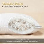 Homotive Feather Pillows Queen Size Set of 2 Goose Down Pillows with 100% Breathable Cotton Cover, Hotel Collection Bed Pillows for Sleeping, Soft Support for Back, Stomach and Side Sleepers