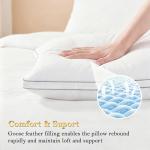 Homotive Feather Pillows Queen Size Set of 2 Goose Down Pillows with 100% Breathable Cotton Cover, Hotel Collection Bed Pillows for Sleeping, Soft Support for Back, Stomach and Side Sleepers