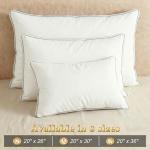 Homotive Feather Pillows Queen Size Set of 2 Goose Down Pillows with 100% Breathable Cotton Cover, Hotel Collection Bed Pillows for Sleeping, Soft Support for Back, Stomach and Side Sleepers