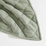 Eddie Bauer - Queen Size Blanket, Soft & Reversible Plush Bed Blanket, Brushed for Extra Softness with a Plush Smooth Texture, Throw Blanket for Couch or Bed (Classic Solid Green)