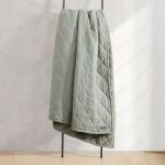 Eddie Bauer - Queen Size Blanket, Soft & Reversible Plush Bed Blanket, Brushed for Extra Softness with a Plush Smooth Texture, Throw Blanket for Couch or Bed (Classic Solid Green)