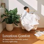 Brooklinen All Season Luxury Down Comforter, 100% Natural Canadian Duck Down Duvet Insert - 700 Fill Power, 100% Cotton Shell, Baffle Box Construction, King/Cali King Size Comforter