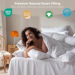 WENERSI Goose Feather Down Comforter Queen Size,100% Organic Cotton Duvet Insert,All-Season Luxury Duvet Insert with Baffle Box Design, 750+Fill Power Hotel Collection Bedding Comforter