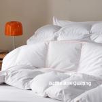 WENERSI Goose Feather Down Comforter Queen Size,100% Organic Cotton Duvet Insert,All-Season Luxury Duvet Insert with Baffle Box Design, 750+Fill Power Hotel Collection Bedding Comforter