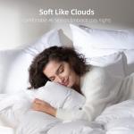 WENERSI Goose Feather Down Comforter Queen Size,100% Organic Cotton Duvet Insert,All-Season Luxury Duvet Insert with Baffle Box Design, 750+Fill Power Hotel Collection Bedding Comforter