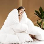 SHOUREN White Luxurious Goose Feather Down Fiber Comforter, All Season Hotel Collection Bed Comforter，Ultra Soft 100% Cotton Duvet Insert with Corner Tabs, Queen Size 90"X90"