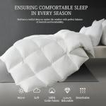 SHOUREN White Luxurious Goose Feather Down Fiber Comforter, All Season Hotel Collection Bed Comforter，Ultra Soft 100% Cotton Duvet Insert with Corner Tabs, Queen Size 90"X90"