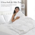 SHOUREN White Luxurious Goose Feather Down Fiber Comforter, All Season Hotel Collection Bed Comforter，Ultra Soft 100% Cotton Duvet Insert with Corner Tabs, Queen Size 90"X90"