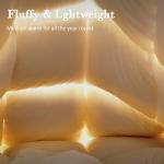 SHOUREN White Luxurious Goose Feather Down Fiber Comforter, All Season Hotel Collection Bed Comforter，Ultra Soft 100% Cotton Duvet Insert with Corner Tabs, Queen Size 90"X90"