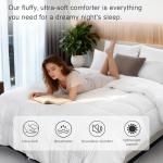 ALPSWAN Goose Feather Comforter Queen Size, White Polyester Cotton Duvet Insert, All Season Hotel Bedding Down Comforter with Corner Tabs (White Polycotton-50% Goose Feather Filled, Queen)