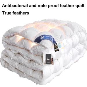 100% White Goose Down Quilt Duvets Velvet Comforter Soft Spring Autumn Thick Warm Winter Quilt Hotel Home 1.1.5*2/1.8*2.2/2*2.3m
