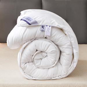 Fluffy Quilted Comforter Solid White Imitation Goose Down Fiber Duvet Light Weight Warm Winter/Autumn Thick Blanket Quilt Code