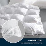 Serta Goose Feather Down Fiber Cotton Comforter Queen Size - 100% Cotton Duvet Insert - Hotel Luxury Hypoallergenic Bedding Comforter All Season Medium Warmth 90 x 90 Inch White