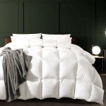 WhatsBedding Feather Down Fiber Comforter Queen Size, 100% Cotton Duvet Insert for All Season, Hotel Collection, 8 Corner Loops, 90x90In, Gold Piping