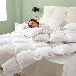 WhatsBedding Feather Down Fiber Comforter Queen Size, 100% Cotton Duvet Insert for All Season, Hotel Collection, 8 Corner Loops, 90x90In, Gold Piping