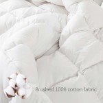 WhatsBedding Feather Down Fiber Comforter Queen Size, 100% Cotton Duvet Insert for All Season, Hotel Collection, 8 Corner Loops, 90x90In, Gold Piping