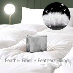 WhatsBedding Feather Down Fiber Comforter Queen Size, 100% Cotton Duvet Insert for All Season, Hotel Collection, 8 Corner Loops, 90x90In, Gold Piping