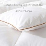 WhatsBedding Feather Down Fiber Comforter Queen Size, 100% Cotton Duvet Insert for All Season, Hotel Collection, 8 Corner Loops, 90x90In, Gold Piping