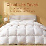 DOWNSTORIA Feather Down Fiber Comforter Queen Size, Ultra Soft 100% Cotton Duvet Insert, Luxurious Hotel Collection White Bedding Comforters, All Season Medium Warmth 90 x 90 Inch.