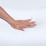 Amazon Basics Down Alternative 2 Bed Pillows with 2 Pillow Protectors for Back and Stomach Sleepers, Comfortable, Breathable, Soft Density, Standard, 26 x 20 in, White, Pack of 4