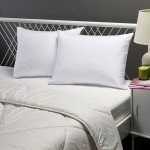 Amazon Basics Down Alternative 2 Bed Pillows with 2 Pillow Protectors for Back and Stomach Sleepers, Comfortable, Breathable, Soft Density, Standard, 26 x 20 in, White, Pack of 4