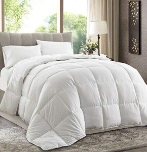 Chezmoi Collection All Season Down Alternative Comforter - Plush Microfiber Fill - Box Stitch Quilted - Duvet Insert with Corner Tabs (King, White)