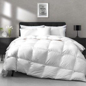 APSMILE Lightweight Down Feather Fibers Comforter King Size - Cooling Bed Comforter, Hotel Collection High Fill-Power Thin Duvet Insert for Warm Weather/Hot Sleepers, 106x90, White