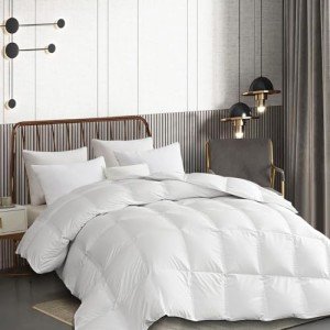 MARTHA STEWART Goose Down Fiber Cotton Comforter Queen Size, Duvet Insert Queen, Ultra-Soft 1cm Breathable Panel Hotel Collection Hypoallergenic Comforter 42oz All Season Medium Warmth 90x90
