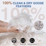 zibroges Goose Feather Pillows Queen Size Pack of 2 - Down Hotel Bed Pillows for Sleeping, Soft 600 Thread Count Cotton Cover, Fluffy Support Surround Fill Polyester for Side, Back, Stomach Sleepers