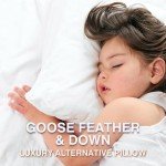 zibroges Goose Feather Pillows Queen Size Pack of 2 - Down Hotel Bed Pillows for Sleeping, Soft 600 Thread Count Cotton Cover, Fluffy Support Surround Fill Polyester for Side, Back, Stomach Sleepers