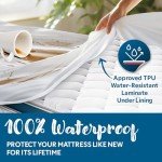 Guardmax Zippered Mattress Encasement - Queen Size - 100% Waterproof and Bed Bug Proof Mattress Protector - 6 Sided Absorbent Mattress Cover - Bed Sheet is Soft, Breathable, and Hypoallergenic.