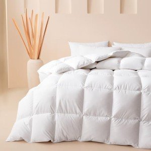 Cosybay Queen Feather and Down Fiber Comforter, Ultra Fluffy Duvet Insert Queen Size, All Season White Cotton Cover Luxury Hotel Bed Comforter with Corner Tabs, 90"x90"