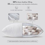 MIULEE 22x22 Pillow Inserts,Set of 2 Down Feather Throw Pillows for Couch Sofa Bed, Decorative Fluffy Throw Pillow Inserts Cotton Fabric,White