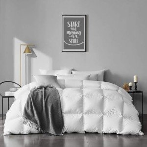 APSMILE Twin Size Feathers Down Comforter - Ultra Soft All Seasons 100% Organic Cotton Feathers Down Duvet Insert Medium Warm Quilted Bed Comforter with Corner Tabs (68x90,Ivory White)