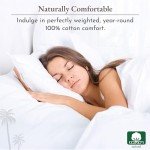 California Design Den Soft 100% Cotton Sheets Full Size Bed Set - Sateen Weave, Cooling Sheets, Deep Pockets with All Around Elastic for a, Durable Bedding Set - White