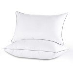 Sasttie Queen Size Pillows Set of 2, Hotel Collection Bed Pillows for Side, Back, and Stomach Sleepers - Down Alternative Plump Filling - 2 Pack, Queen, 20x30 Inches