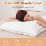 Sasttie Queen Size Pillows Set of 2, Hotel Collection Bed Pillows for Side, Back, and Stomach Sleepers - Down Alternative Plump Filling - 2 Pack, Queen, 20x30 Inches