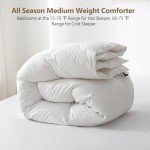 BPC Feather Comforter Queen Size, Filled with Feather and Down Fibers, All Season White Luxury Hotel Collection Bed Comforter, Ultra Soft Poly-Cotton Blend Fabric, 4 Corner Loop Tabs, 90"x90"