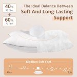 Sasttie Queen Size Pillows Set of 2, Hotel Collection Bed Pillows for Side, Back, and Stomach Sleepers - Down Alternative Plump Filling - 2 Pack, Queen, 20x30 Inches