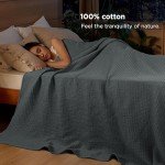 Tex Trend 100% Cotton Blanket – Soft and Breathable Twin XL Grey Waffle Blanket – All Season Comfort – Suitable for Bed Layering, Sofa, Couch - Grey (60”x90”)