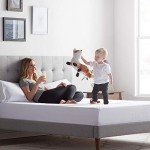 LUCID Encasement Mattress Protector - Completely Surrounds Mattress for Waterproof Protection, White, Queen